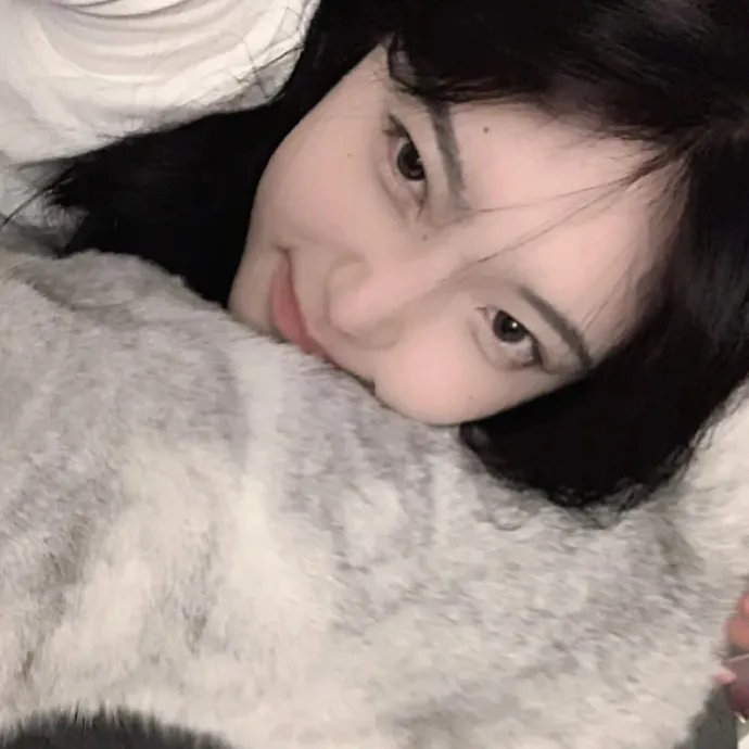 洪拳小子