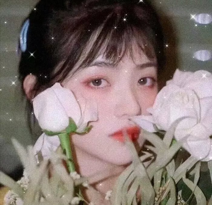 王者之舞